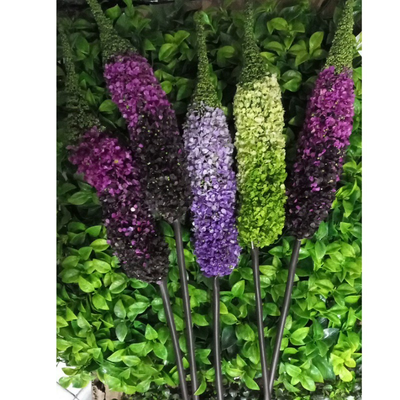 حراجی شاخه دوم روباهی ۵ عددی